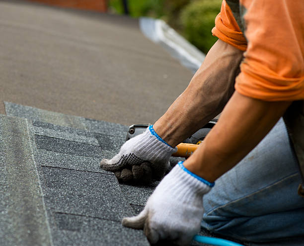 Quick and Trustworthy Emergency Roof Repair Services in Lansford, PA